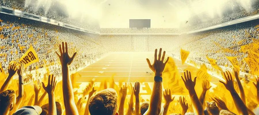 Excited crowd at a college football match