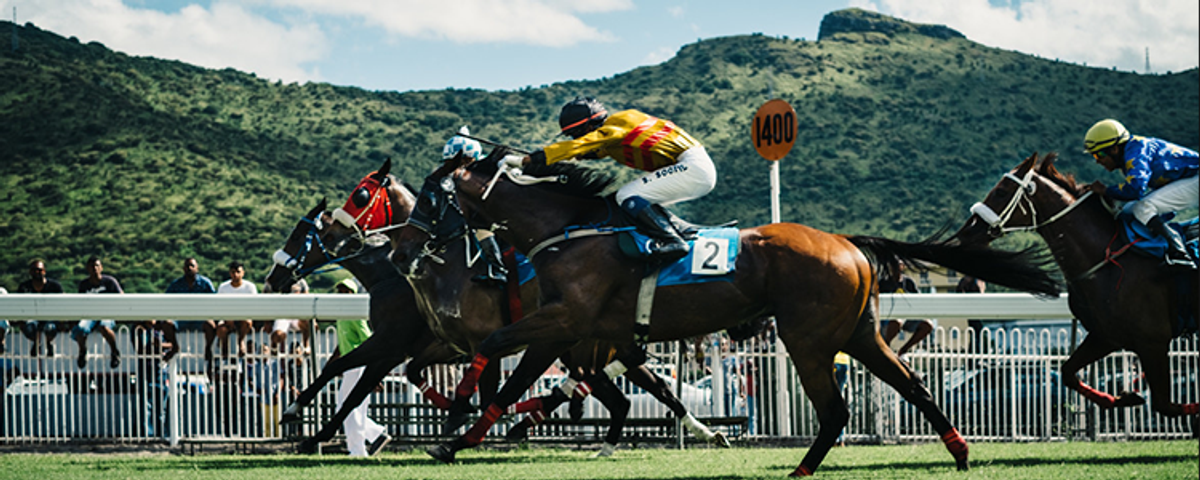 How to profit on horse racing arbitrages