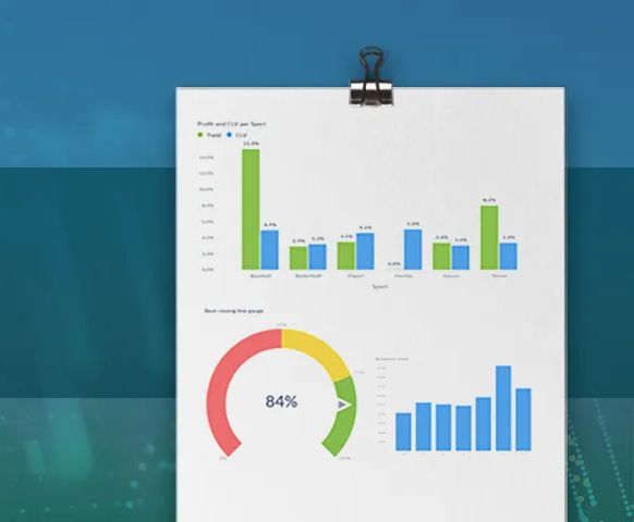 Customer results for RebelBetting