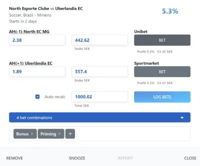 A Selected Bet Card in RebelBetting