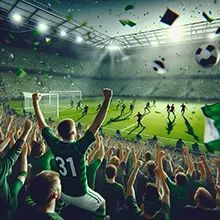 Excited crowd at a football match