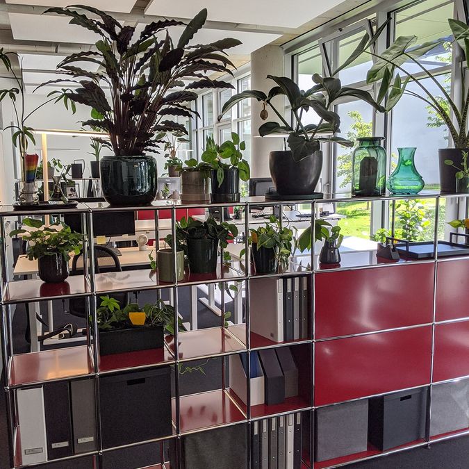 Regal mit Pflanzen und Ordnern vor den Schreibtischen im Jurodo-Büro