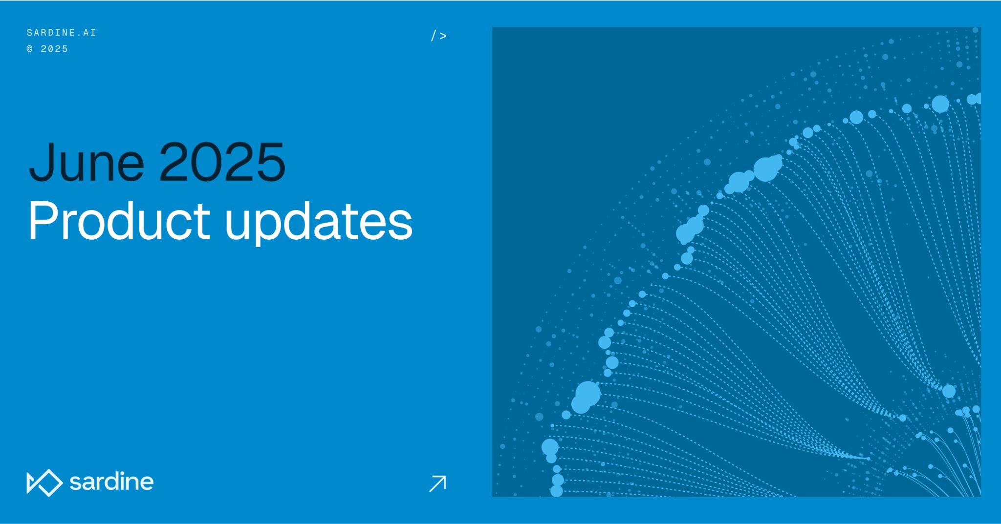 Sardine product updates: June 2025