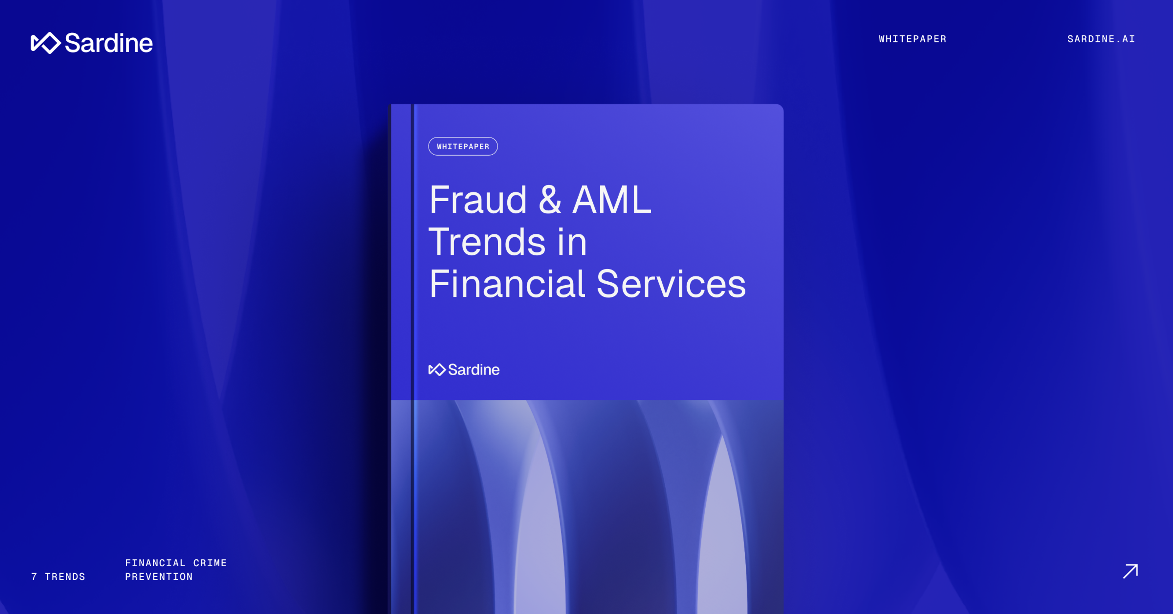 Fraud & AML Trends in Financial Services