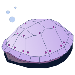 Shield your best customers