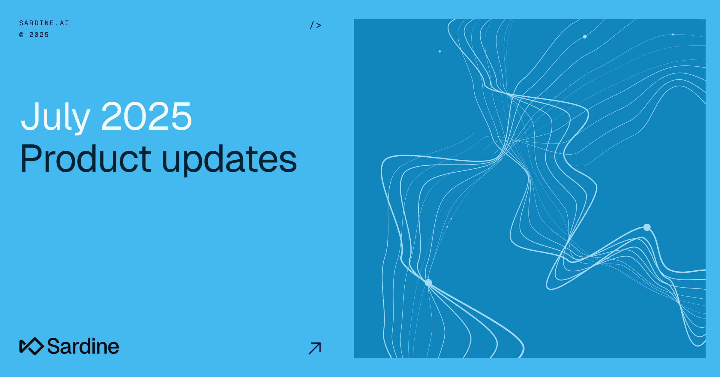 Sardine Product Updates: July 2025