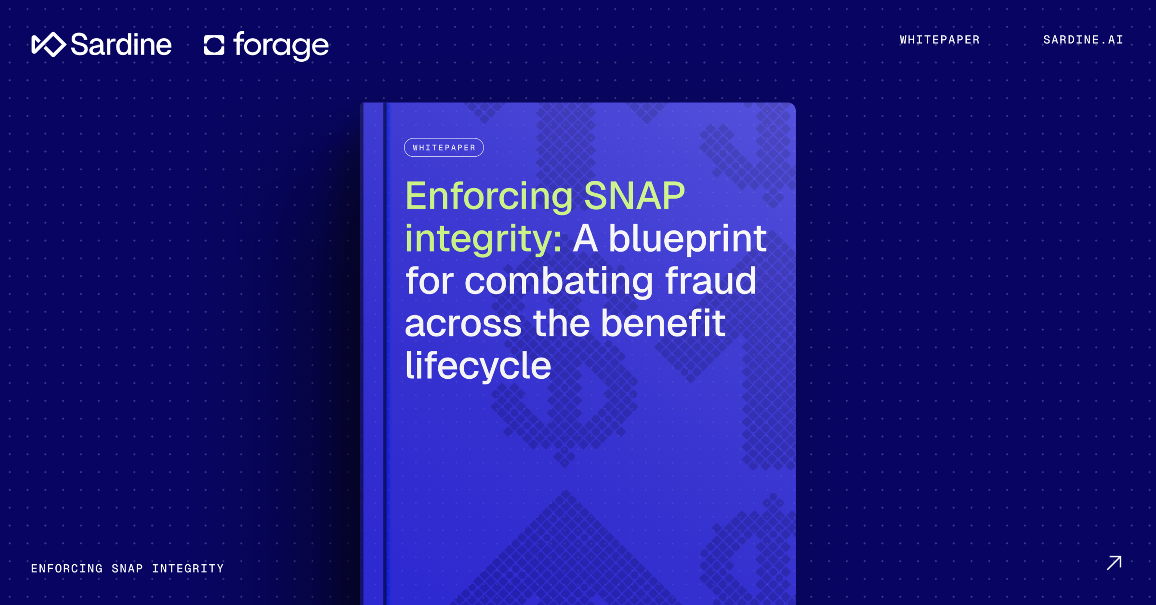 Enforcing SNAP integrity: A blueprint for combating fraud across the benefit lifecycle