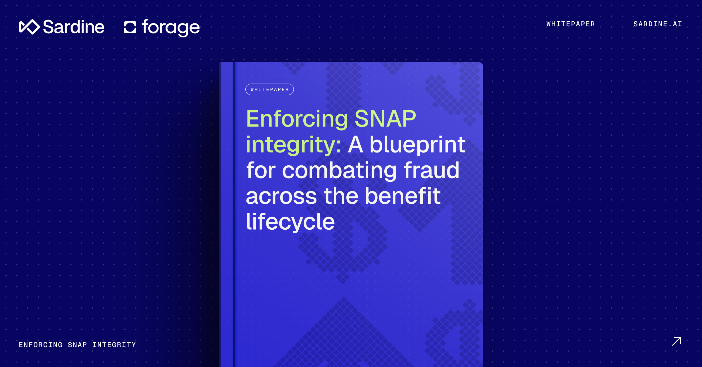 Enforcing SNAP integrity: A blueprint for combating fraud across the benefit lifecycle