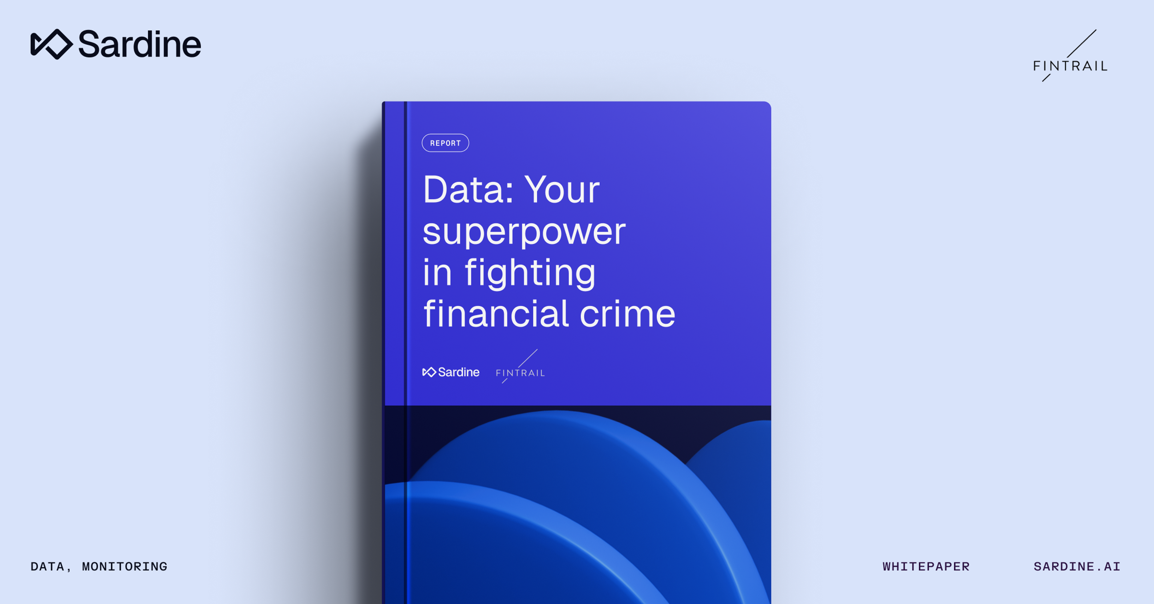 Using Data to Fight Financial Crime