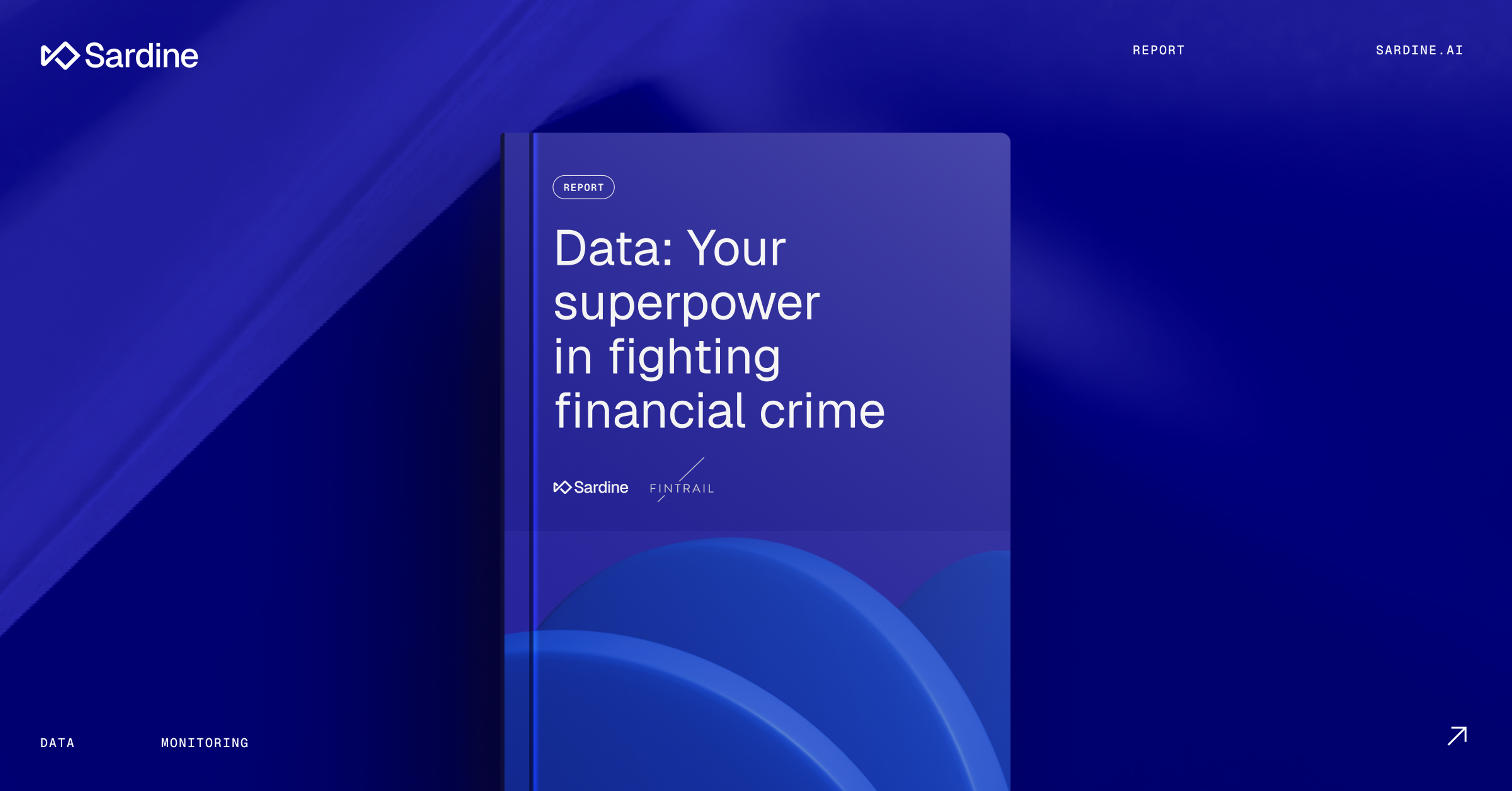 Using Data to Fight Financial Crime