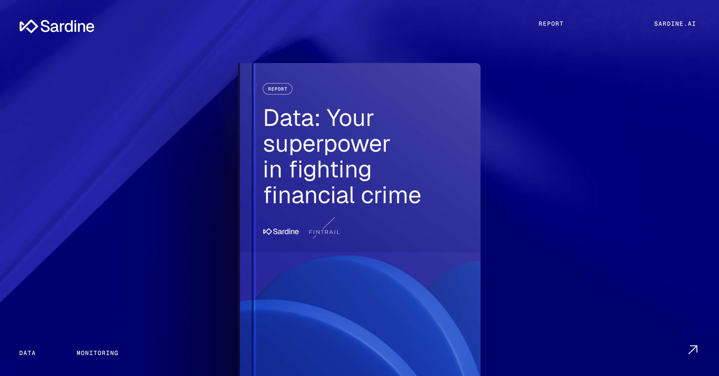 Using Data to Fight Financial Crime