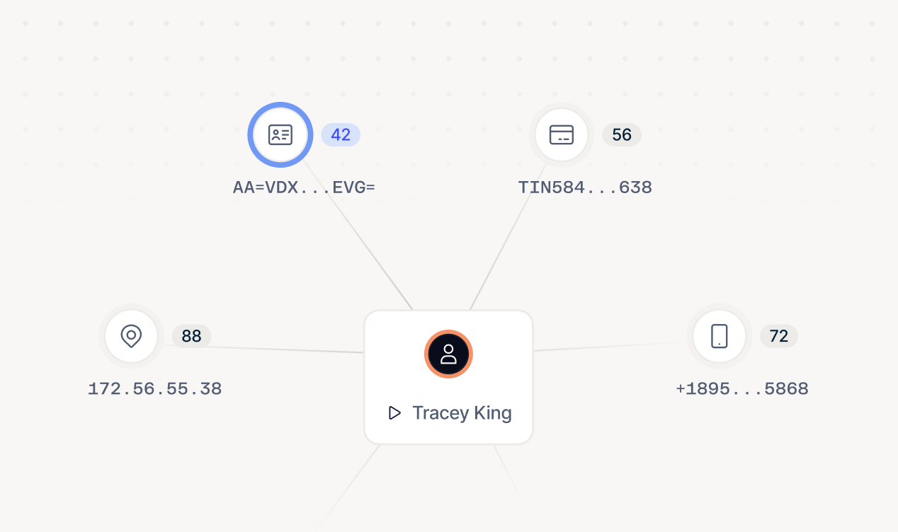 Fraud investigations