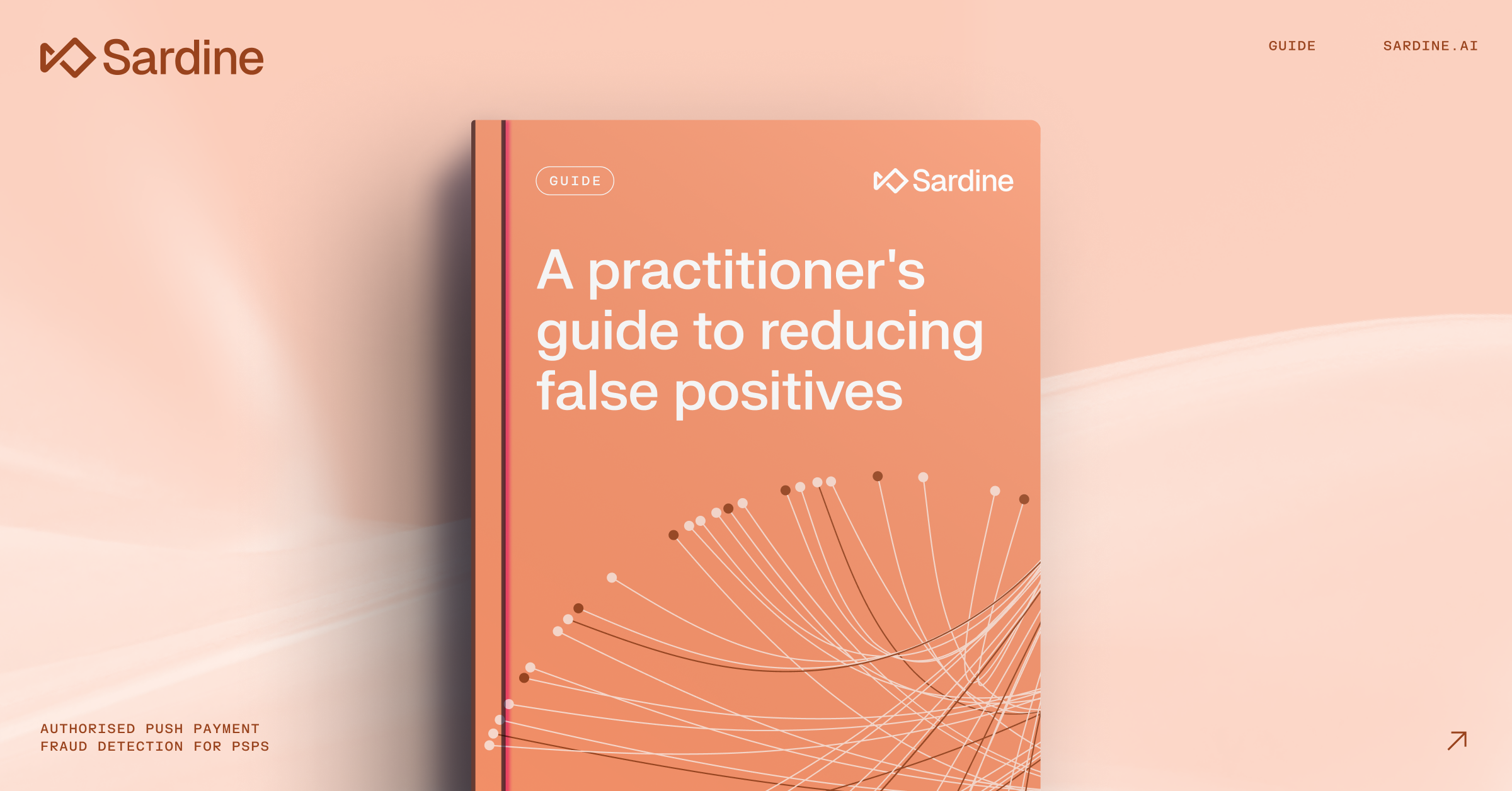 Sardine guide cover: 'A practitioner's guide to reducing false positives'.