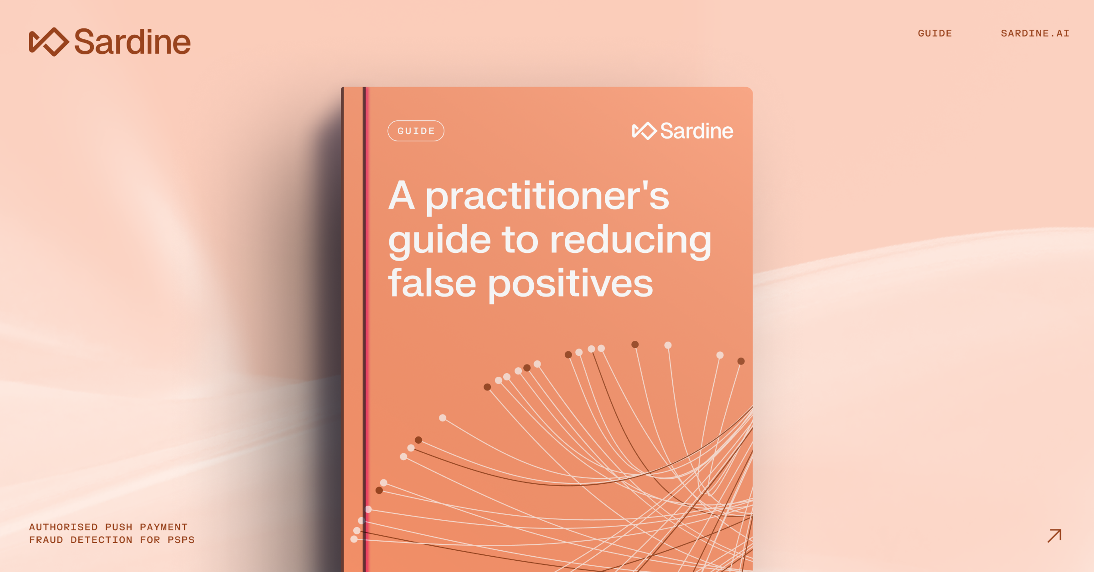 Sardine guide cover: 'A practitioner's guide to reducing false positives'.