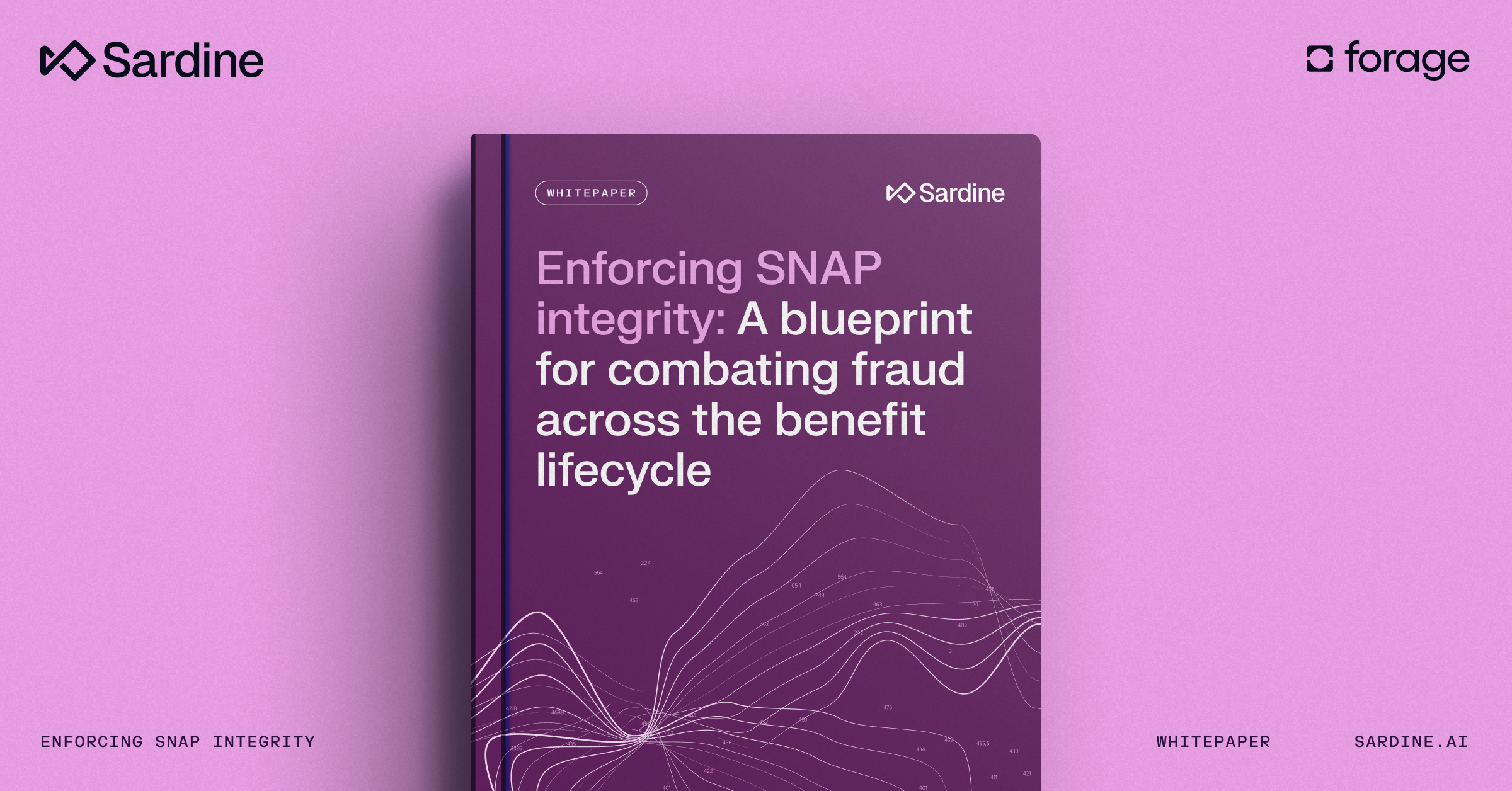 Enforcing SNAP integrity: A blueprint for combating fraud across the benefit lifecycle
