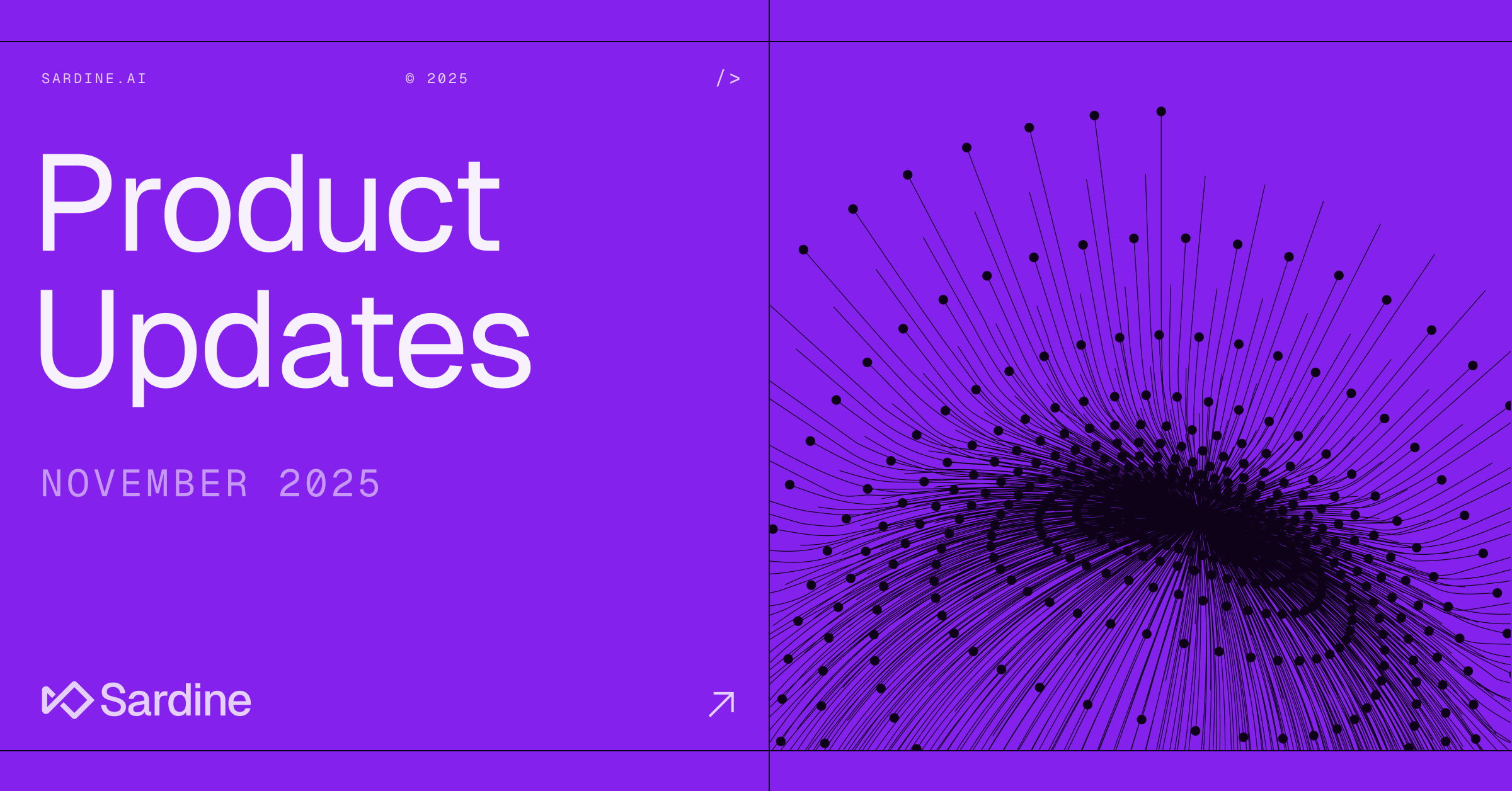 Sardine Product Updates: November 2025