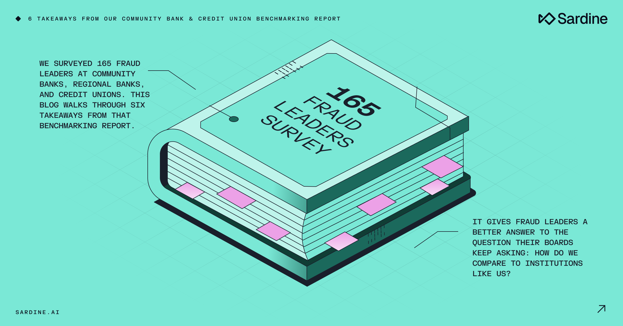 Stylized isometric book titled "165 Fraud Leaders Survey" with pink page markers, representing a benchmarking report for bank and credit union fraud leaders.