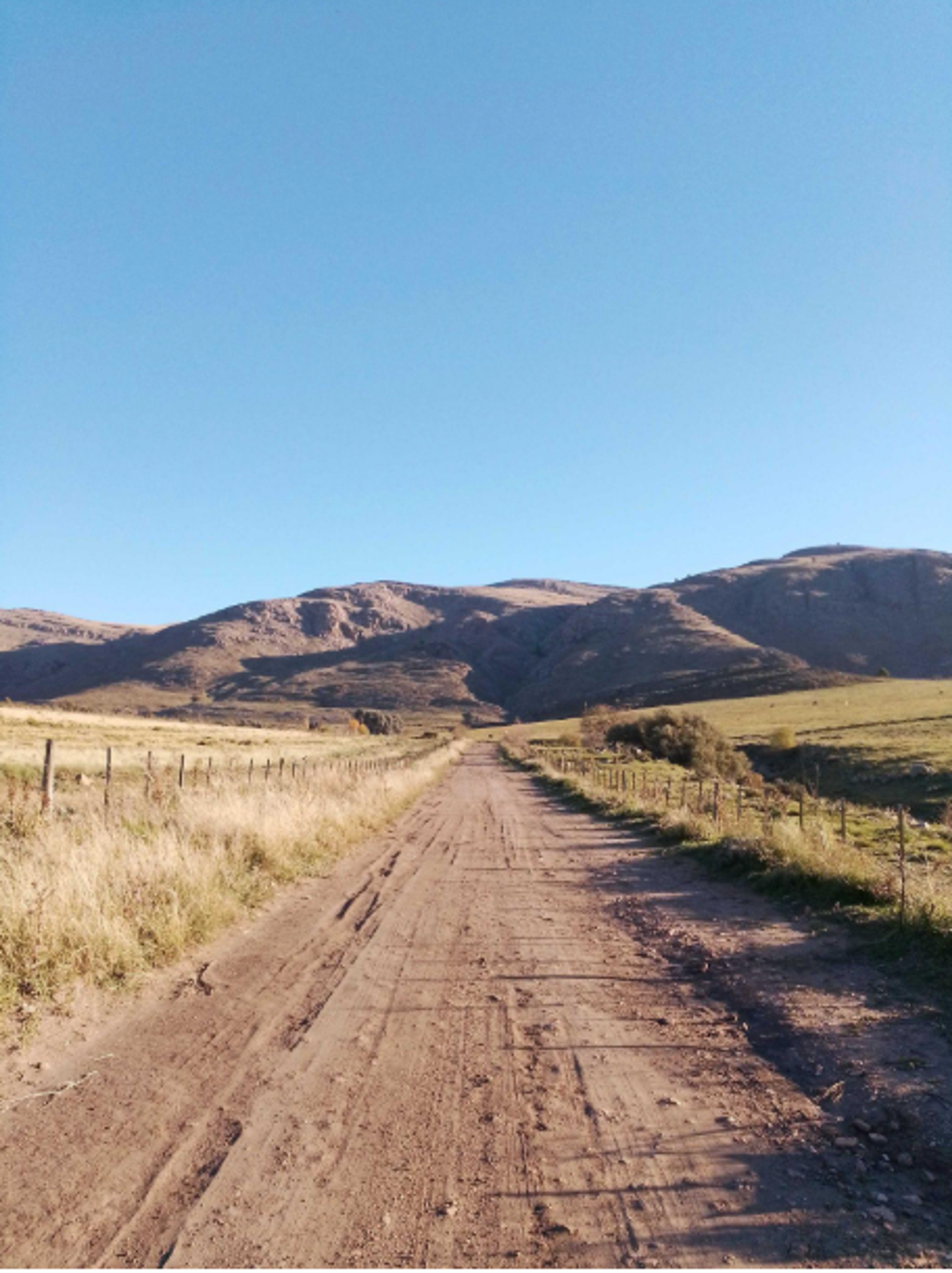 Dirt road through fields leading to mountains under a clear sky.