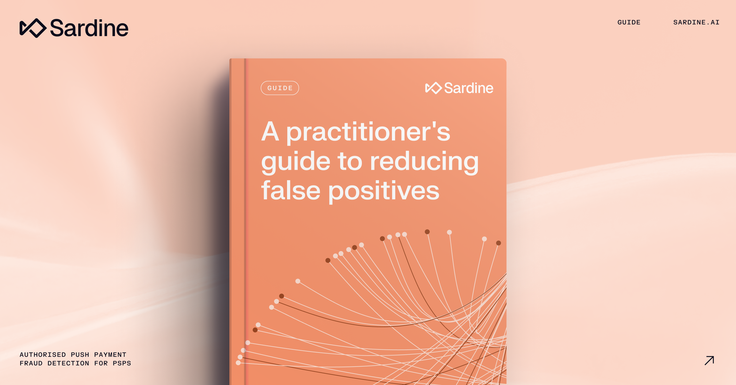Sardine guide cover: 'A practitioner's guide to reducing false positives'.