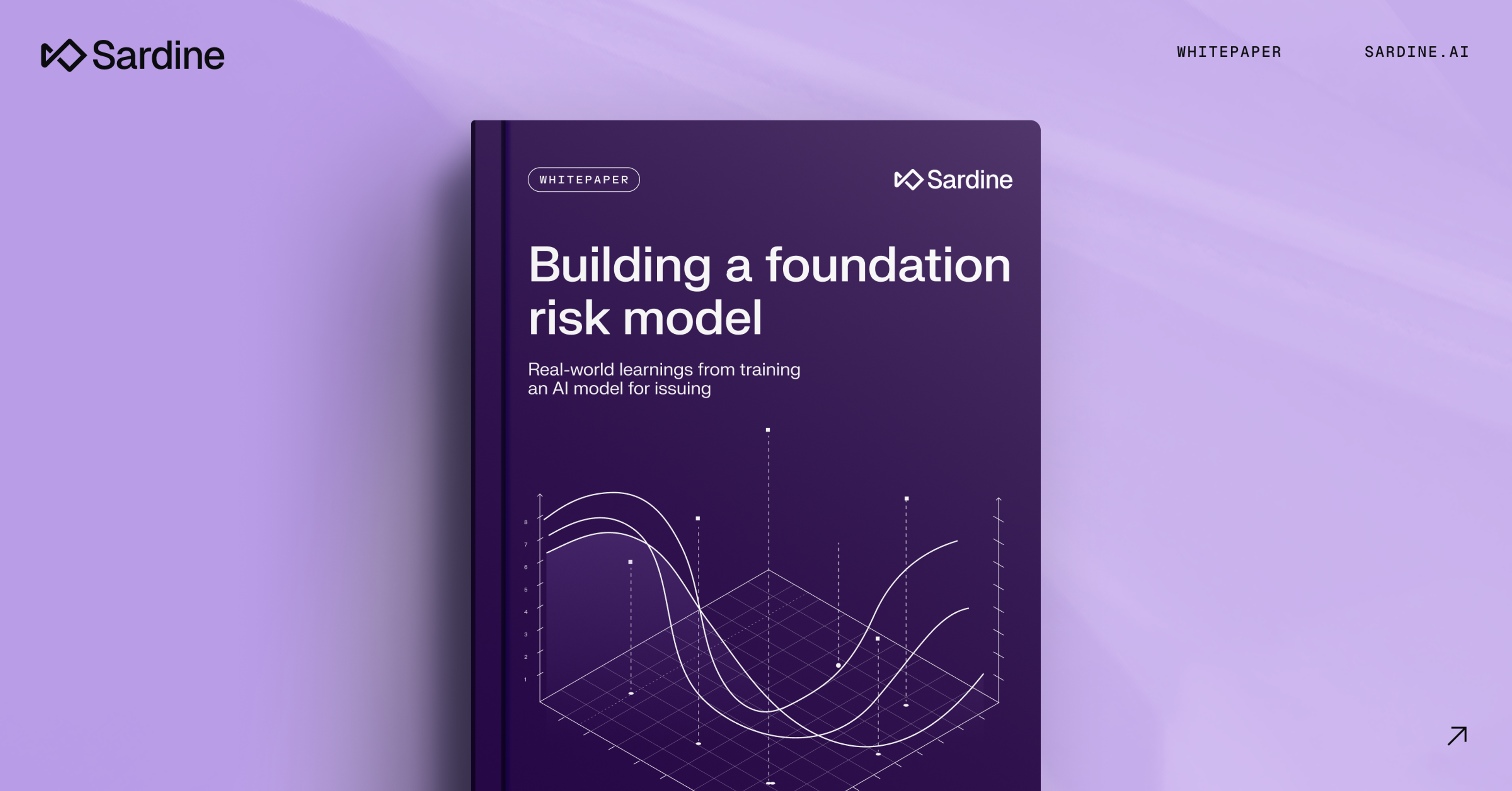 Cover of Sardine's whitepaper titled "Building a foundation risk model."