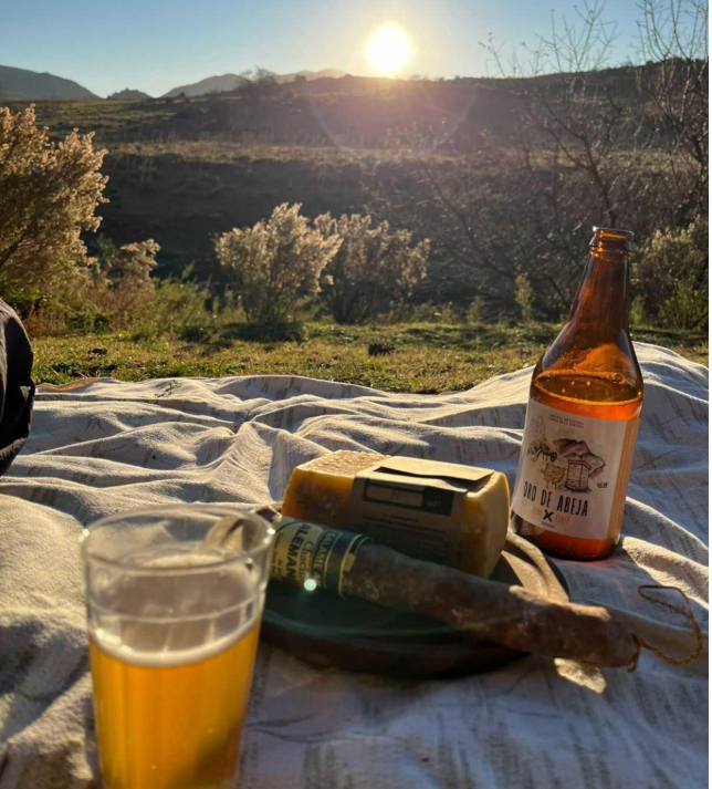 A picnic blanket with a bottle of beer, a glass of beer, and a wedge of cheese, set against a backdrop of hills and a sunset.