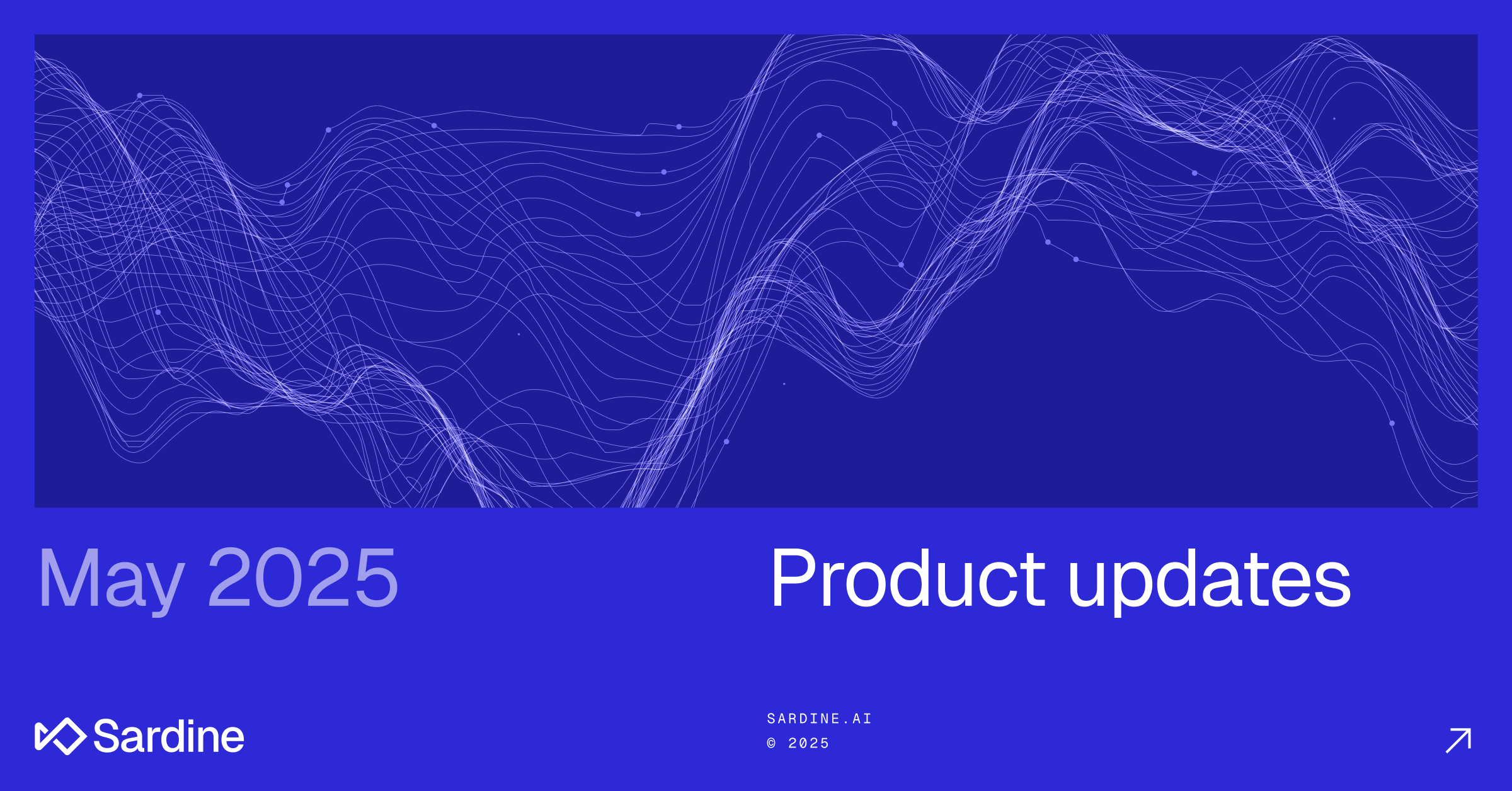 Sardine AI Product updates for May 2025.