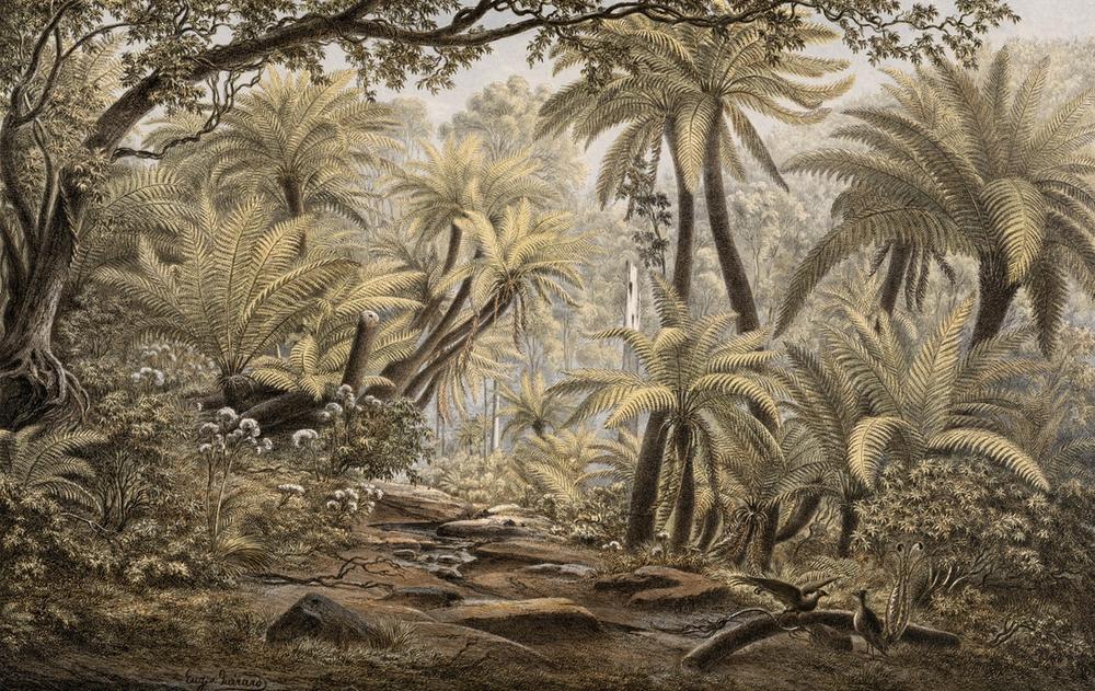 Ferntree Gully, Dandenong Ranges, Victoria, 1866 - Eugene von Guerard 