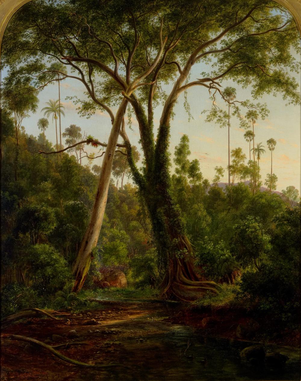 A fig tree on American Creek near Wollongong, NSW, 1861 - Eugene von Guerard 