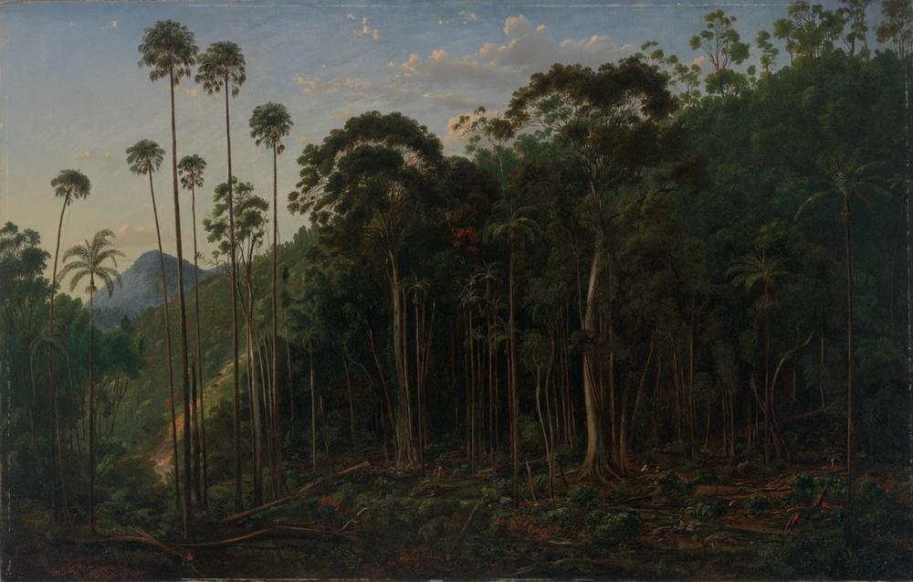 Cabbage trees near the Shoalhaven River, New South Wales, 1860 - Eugene von Guerard 
