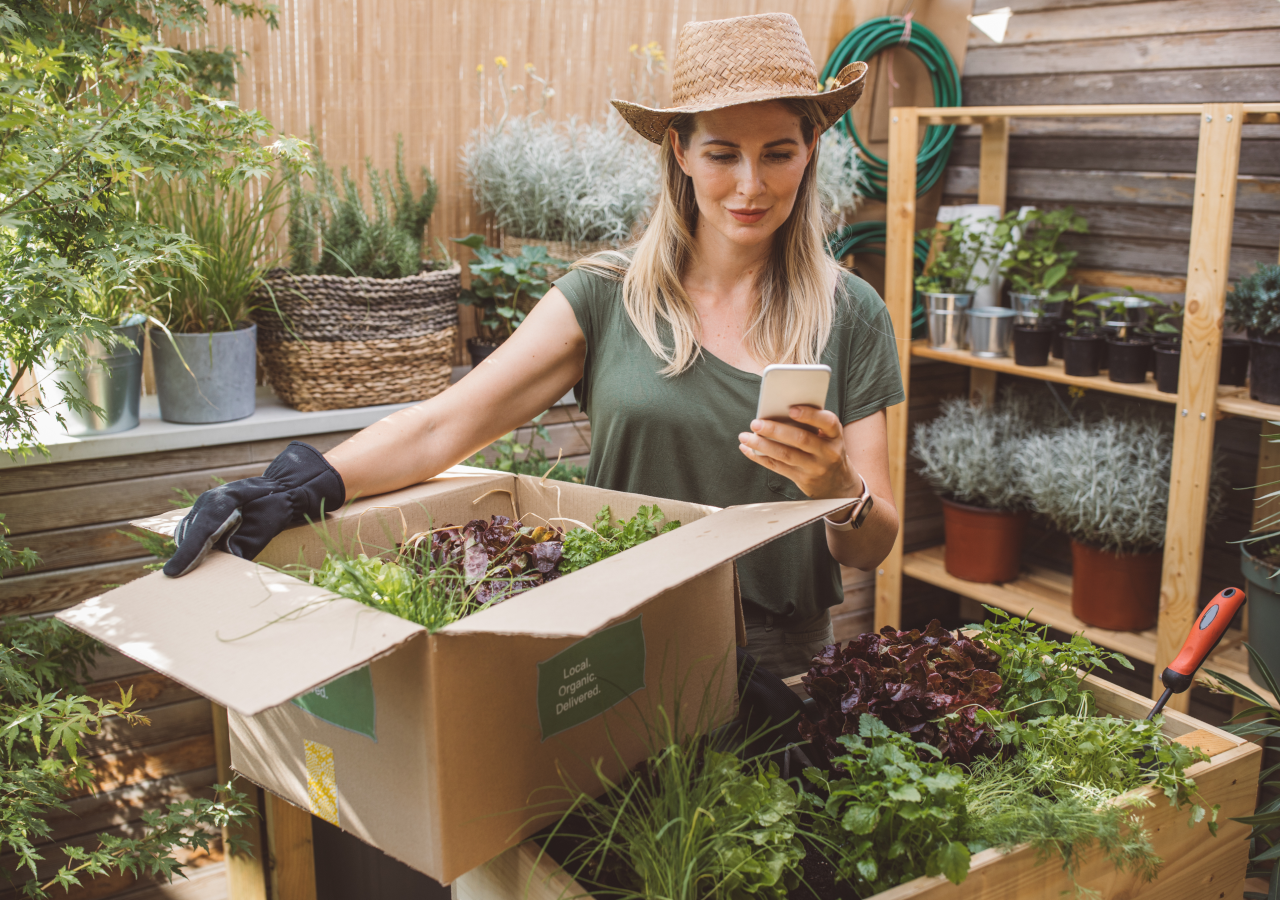 Person checking phone while gardening