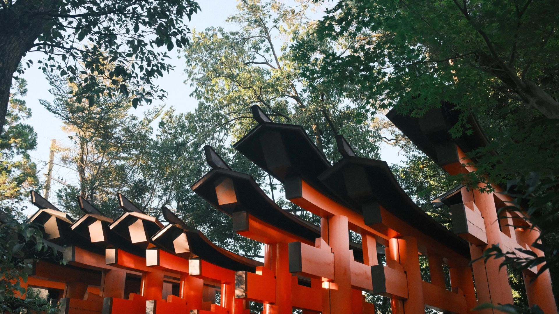 Kyoto Fushimi Inari Shrine - Image 2