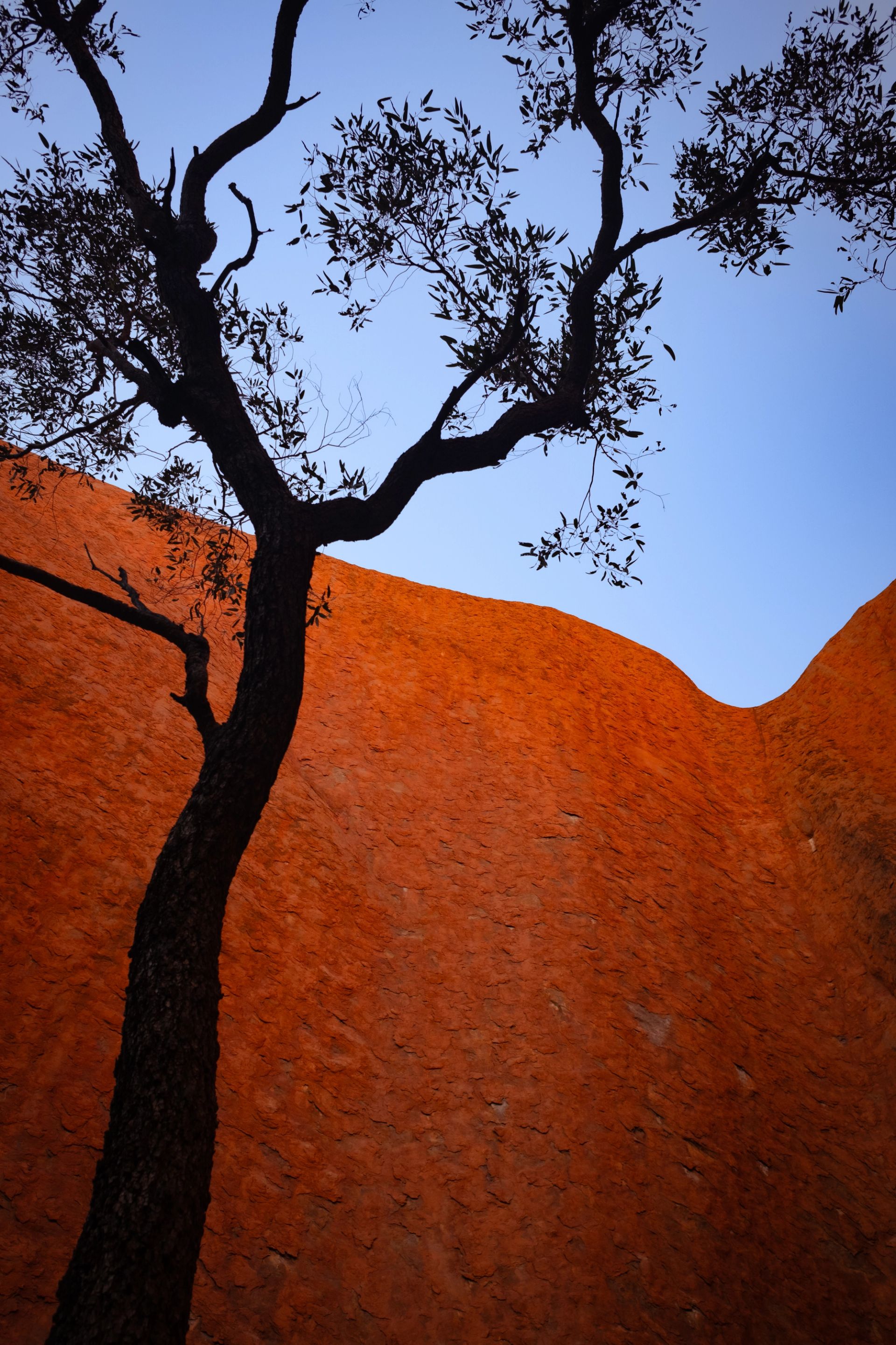 Australia - Image 5