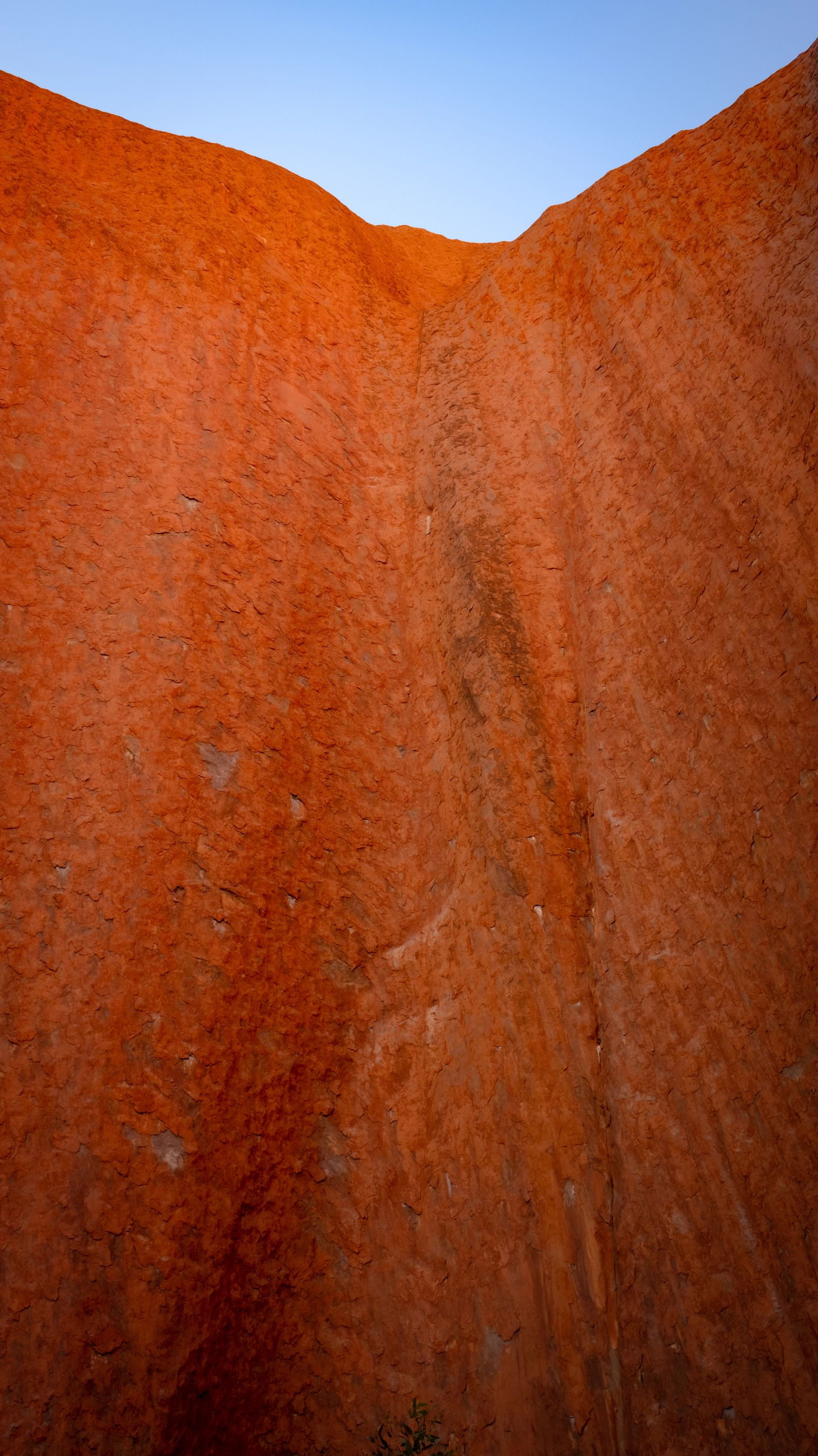 Australia - Image 6