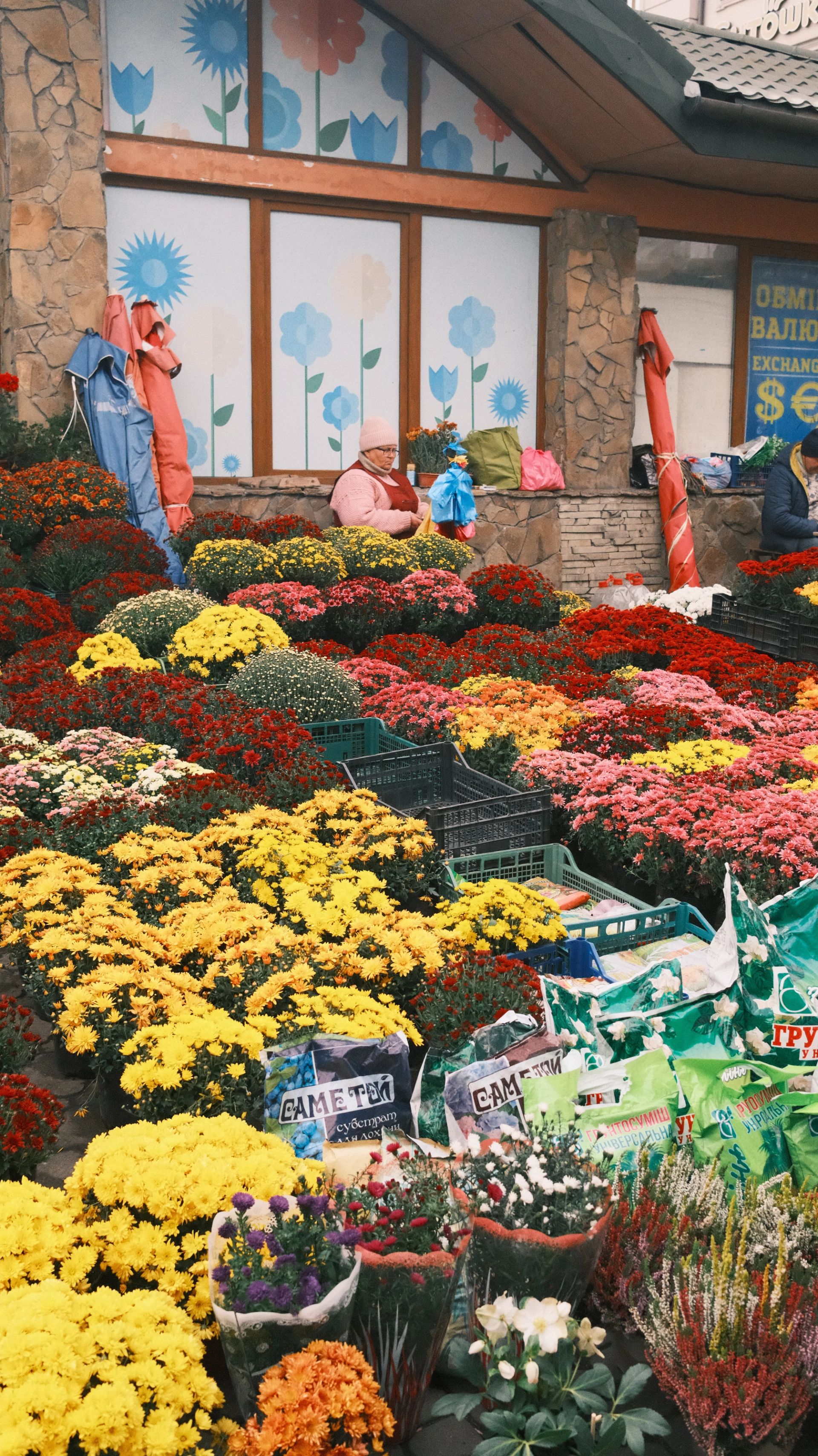 Lviv Flowers - Image 2