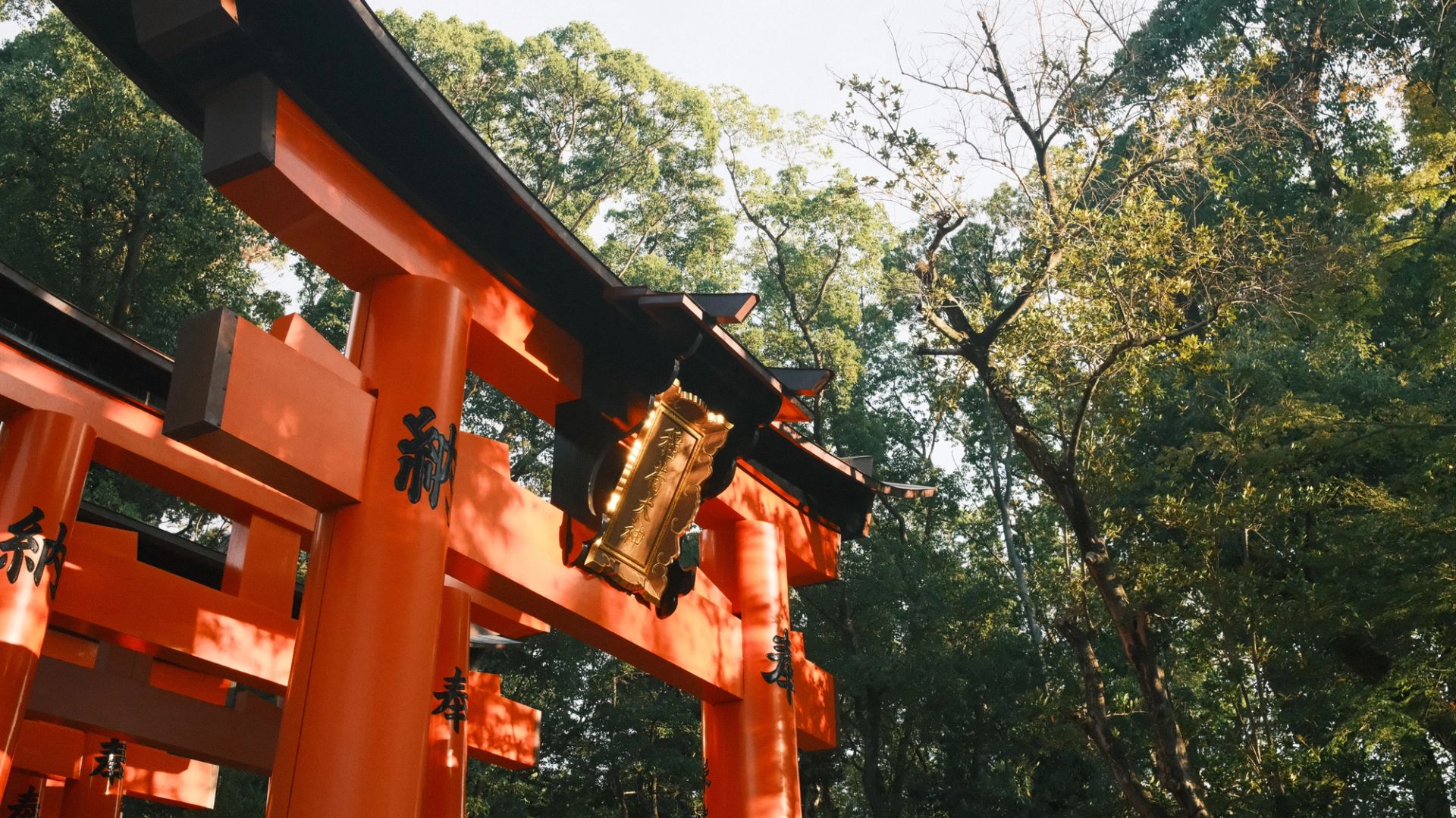 Kyoto Fushimi Inari Shrine - Image 1