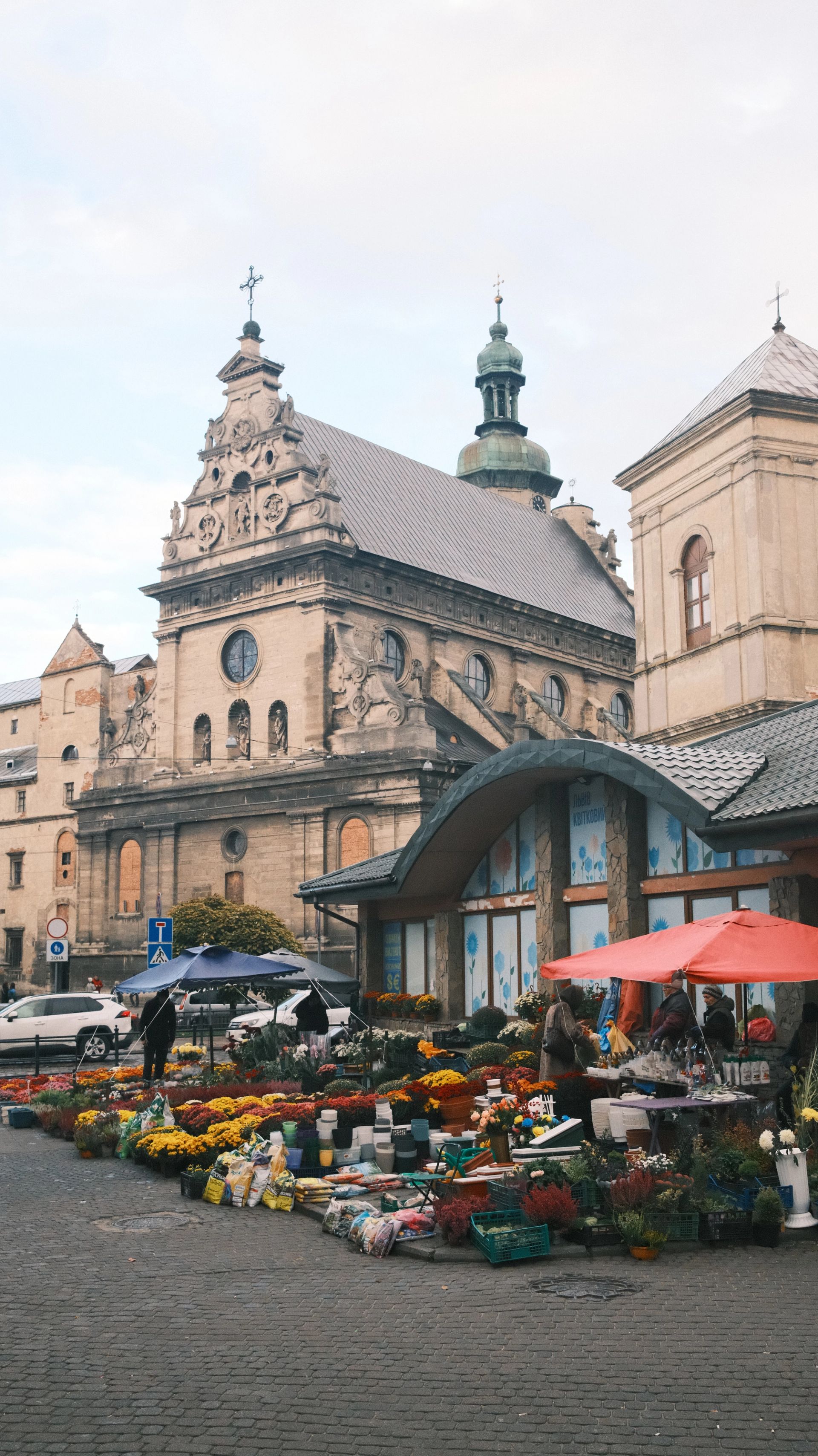 Lviv Flowers - Image 1