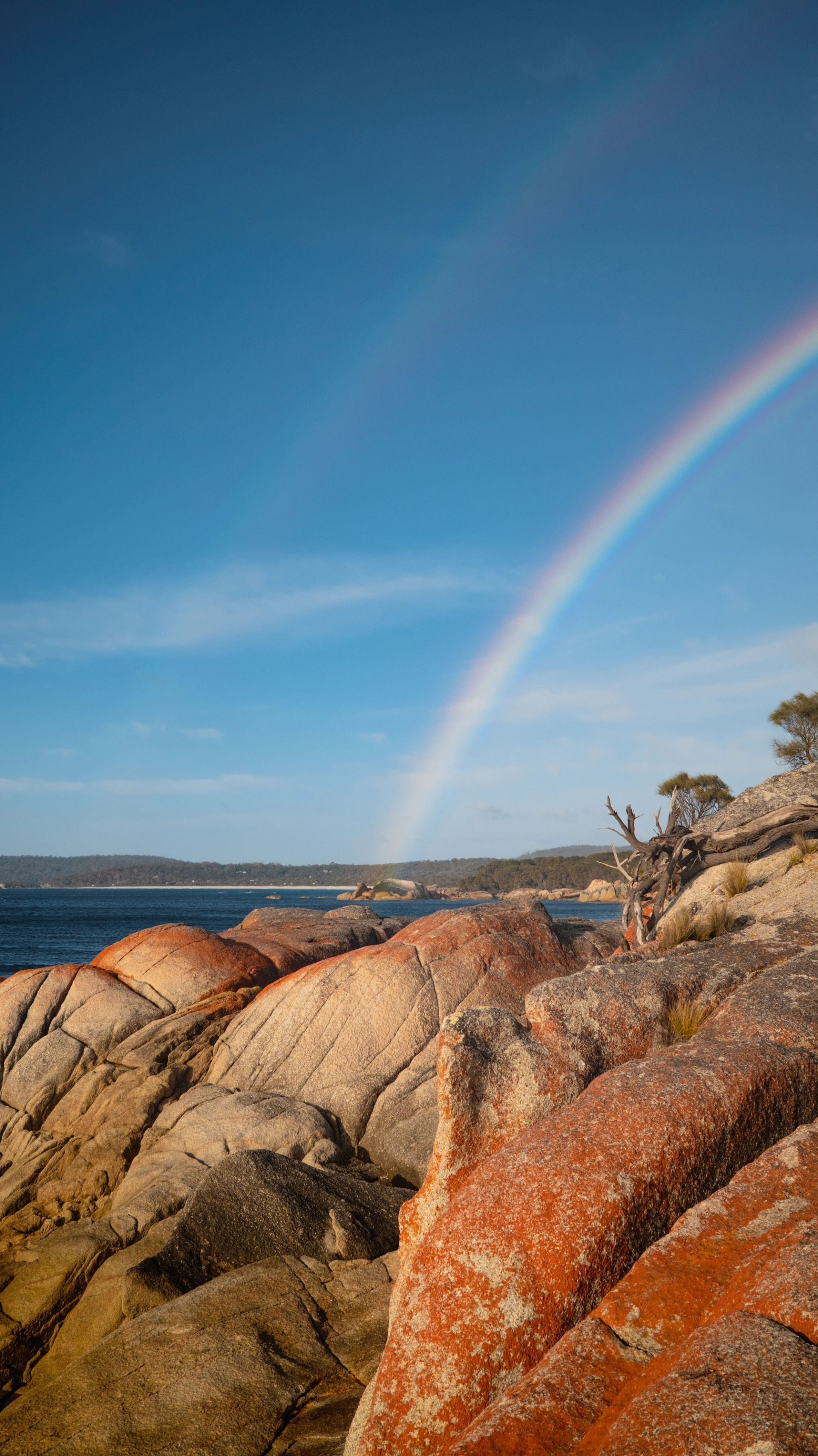 Bay of fires - Image 7