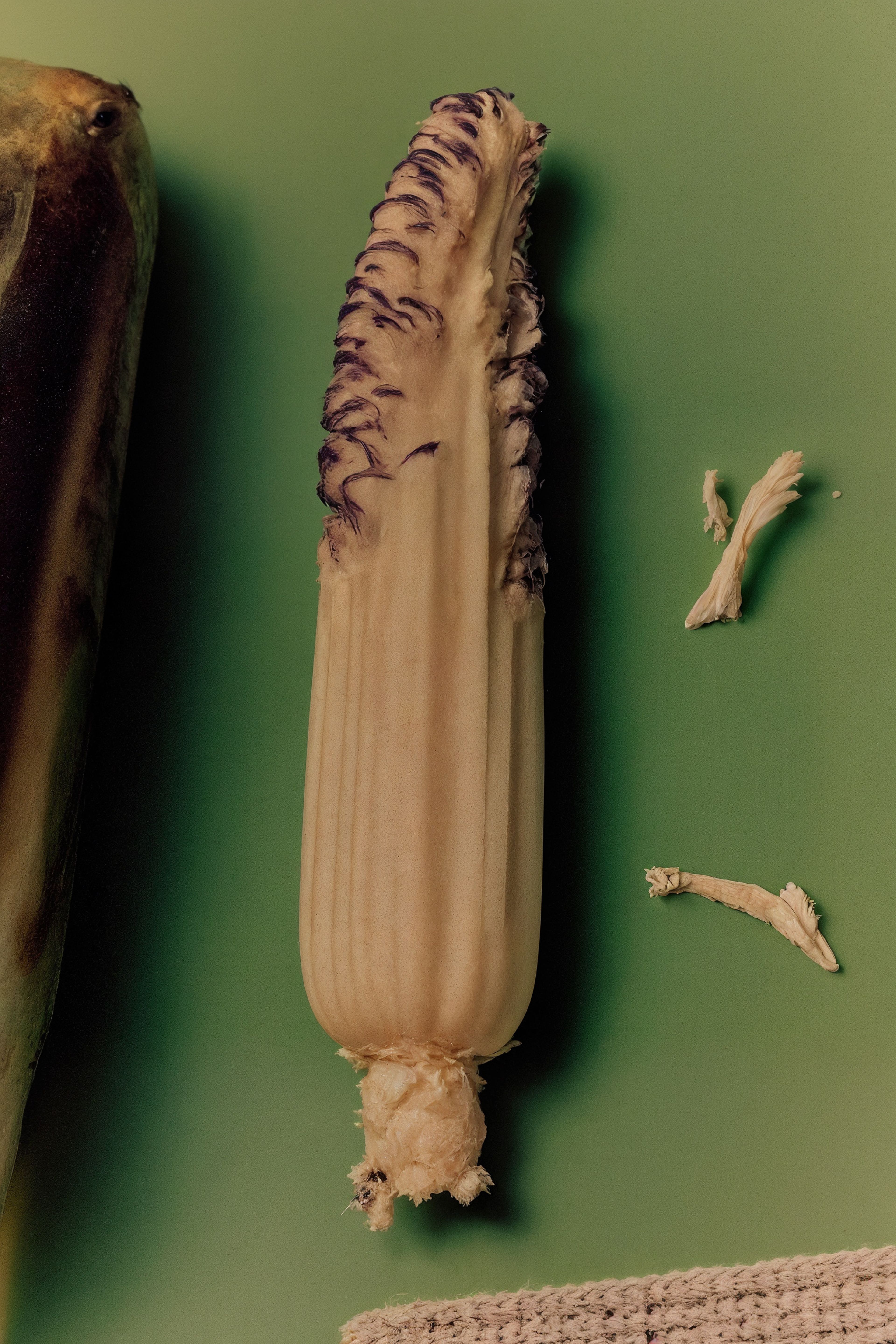 Paused Perceptions 2