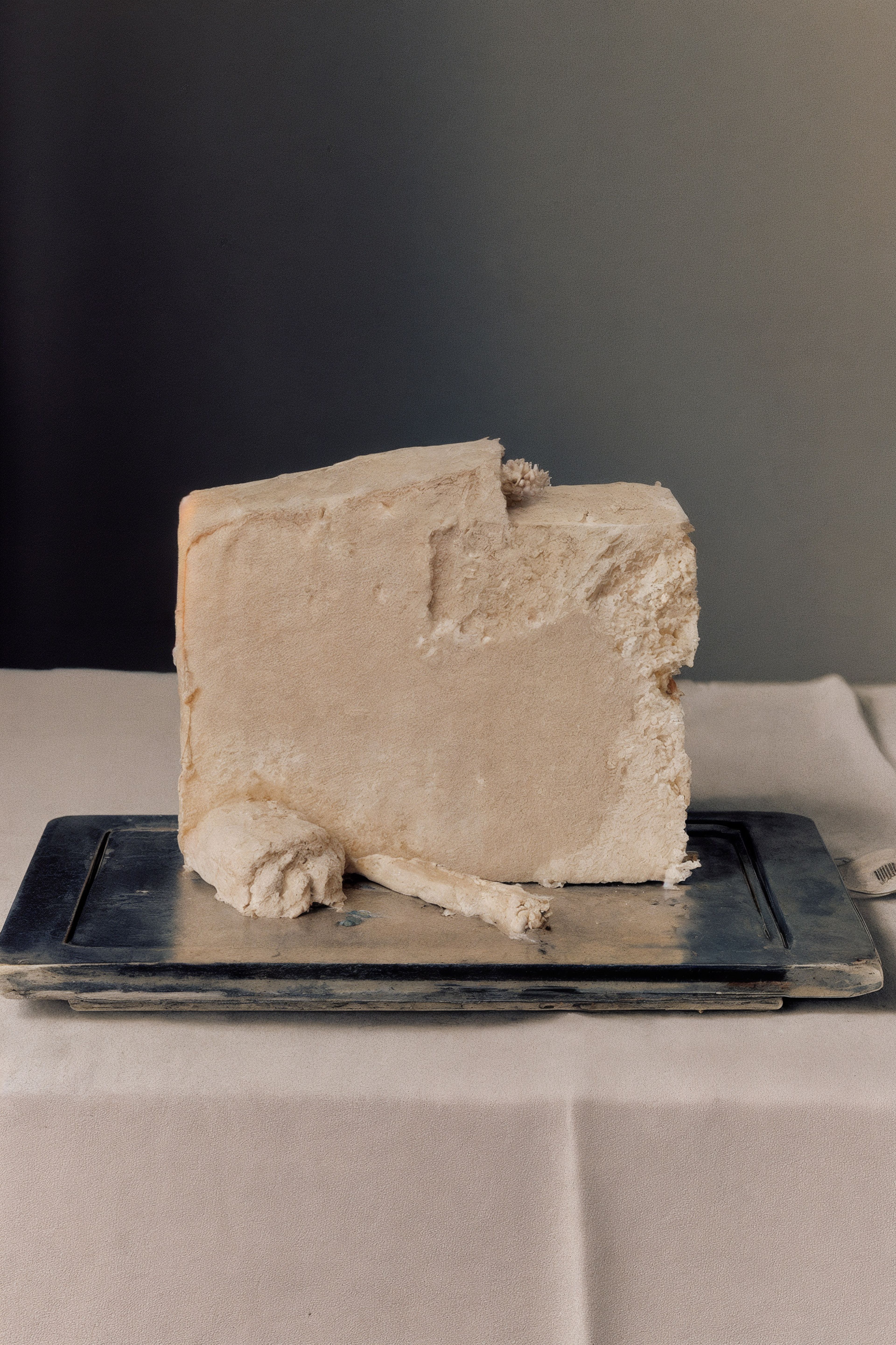 Paused Perceptions 1