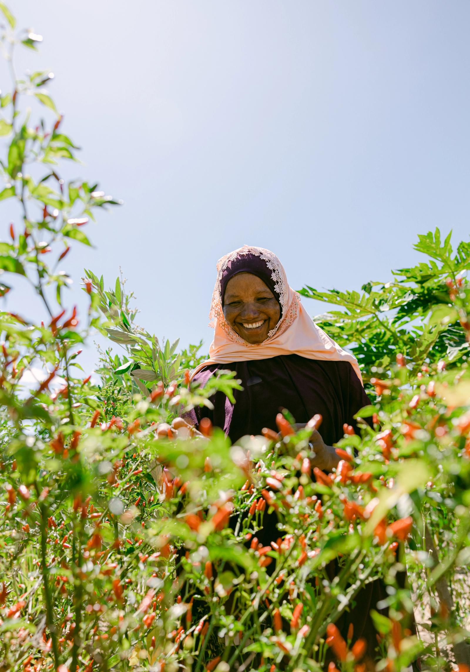 A farmer holding a bowl of vegetables