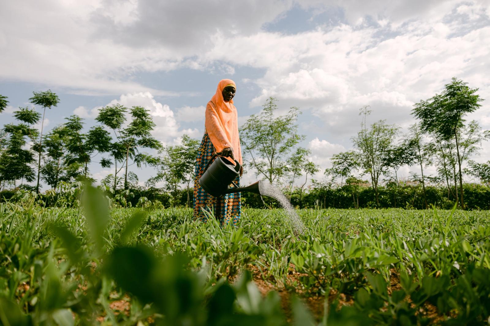 A farmer watering young trees on her regenerative farm