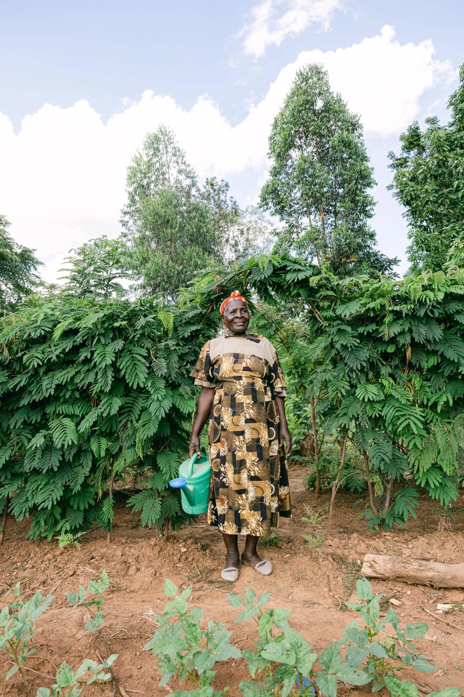 A farmer with a watering can among tall trees in Kenya