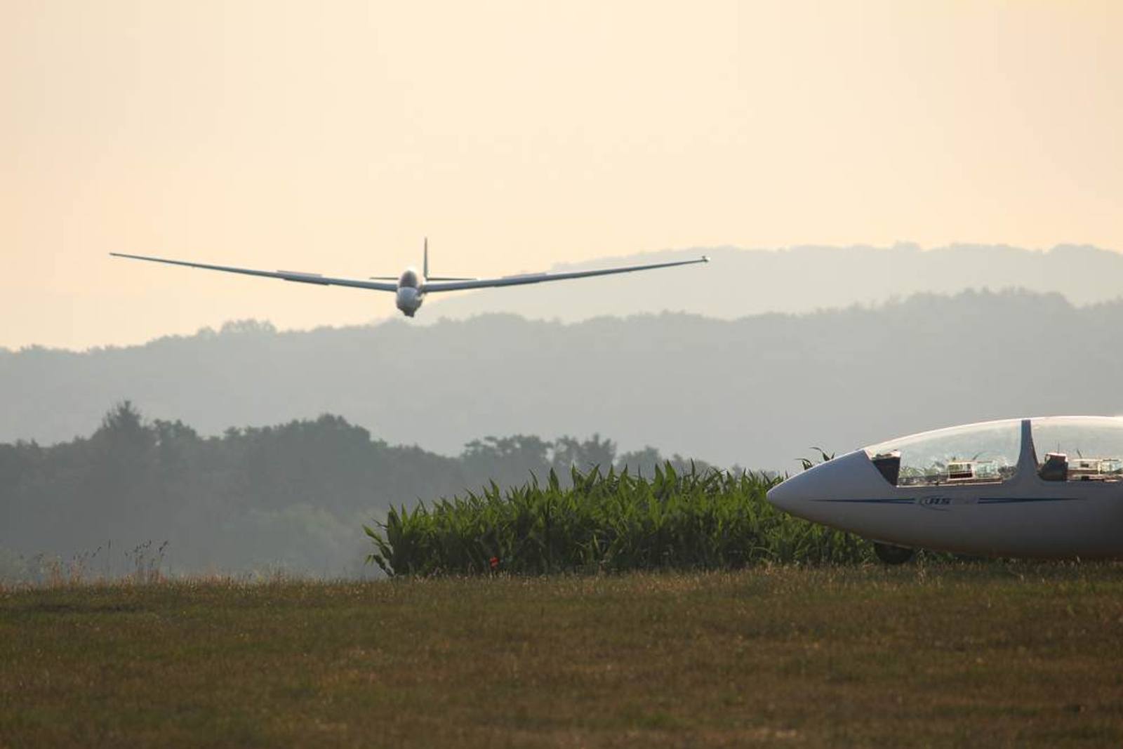 Segelflugzeug beim Aufsetzen auf der Wiese