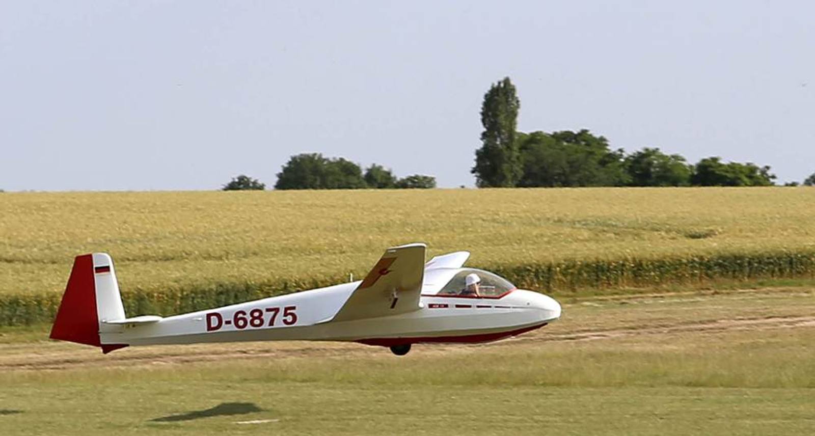 Segelflugzeug auf dem Feld