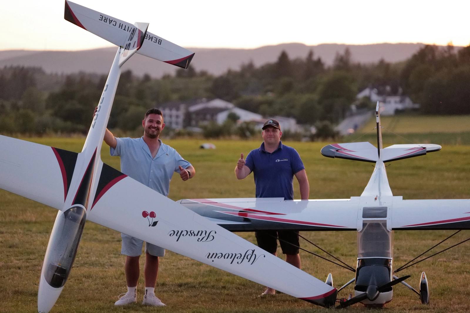 Flugmodelle auf der Wiese