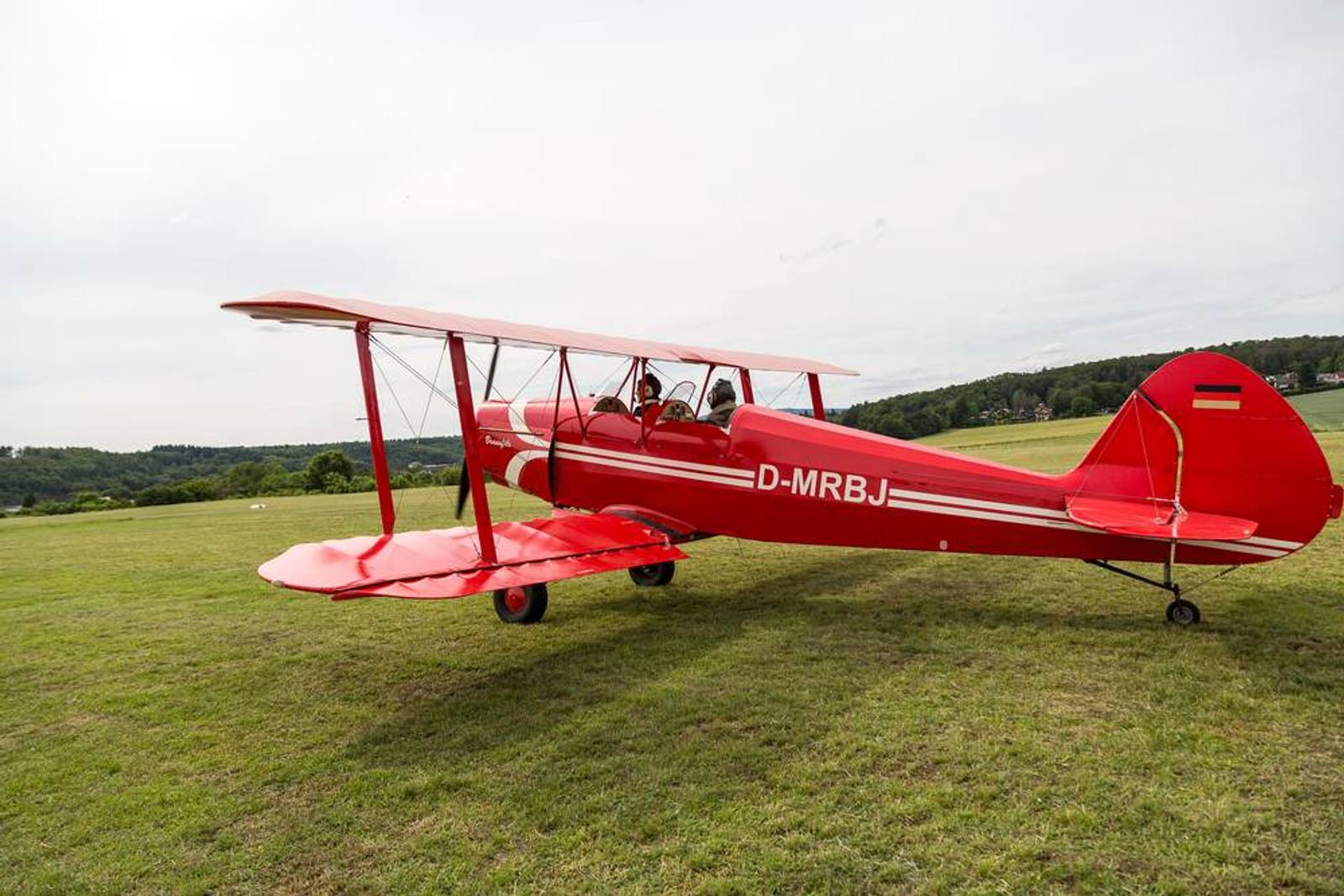 Roter Doppeldecker auf der Wiese