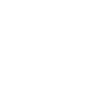 Partner Logo 7