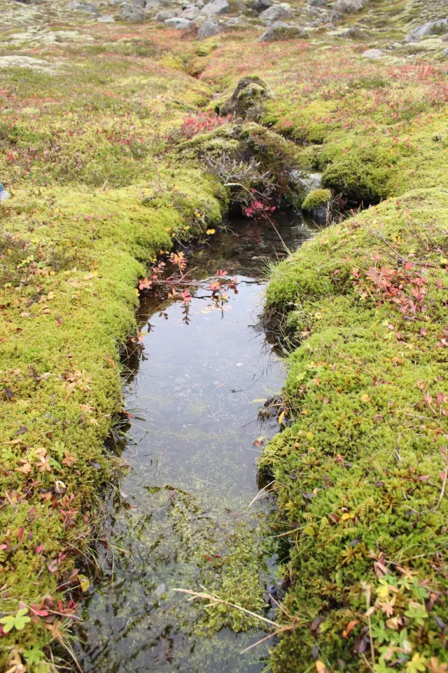 Beginning of the Glacier Hike