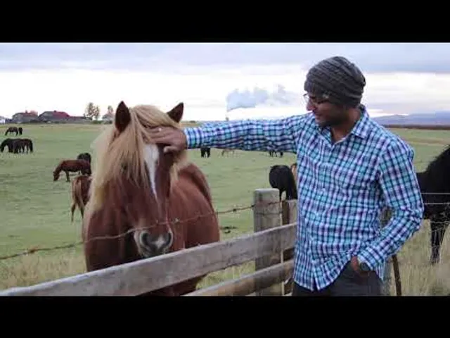 A traveler beside a light-maned horse at a fence.
