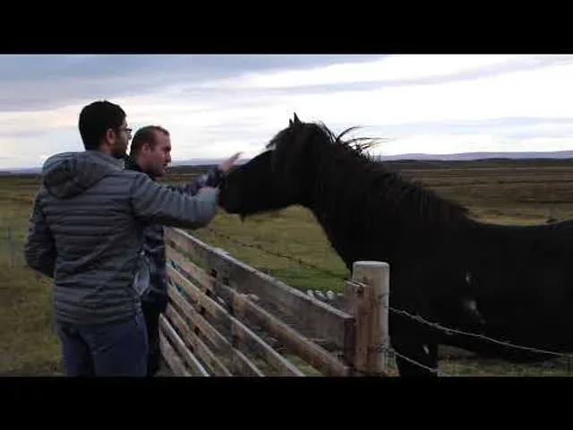 Two travelers greeting a dark horse at a fence.